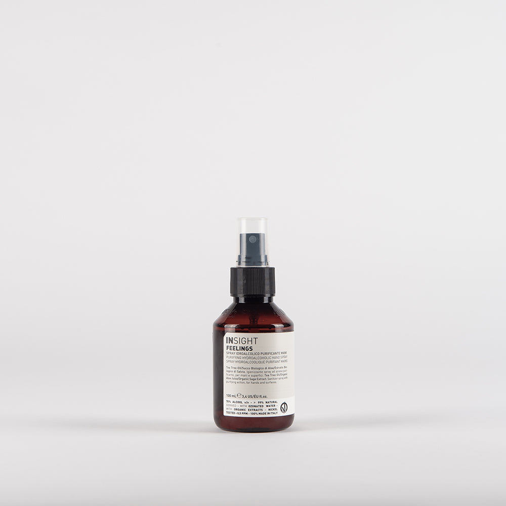 PURIFYING HYDROALCOHOLIC HAND SPRAY Bottle 100 ml